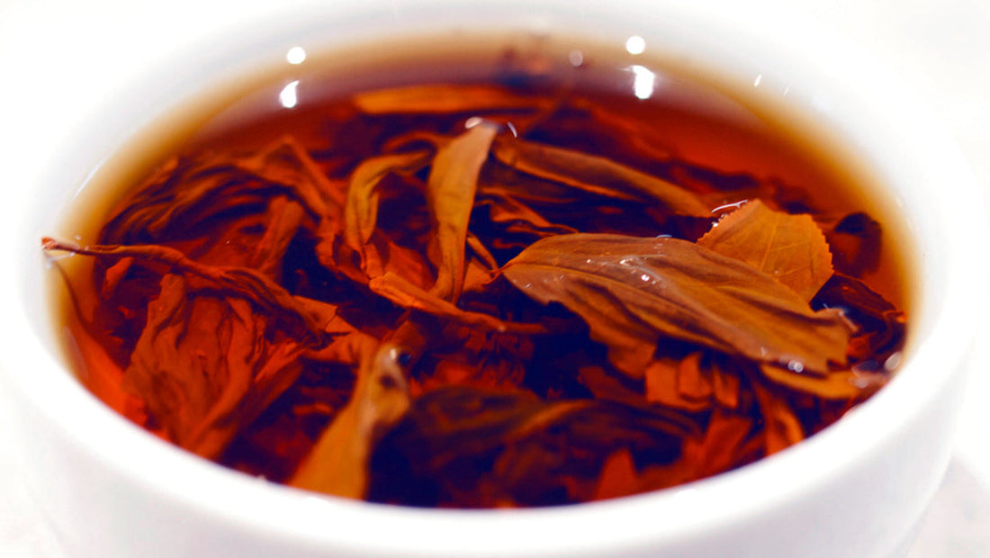 Strong Tea Myths Busted: Dilution Trick? Hangover Cure? 